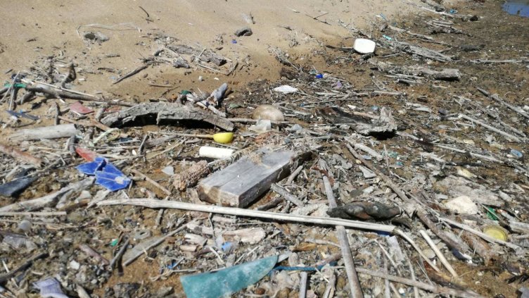 Изследване: Най-често наблюдаваните плаващи отпадъци в Черно море са пластмасовите