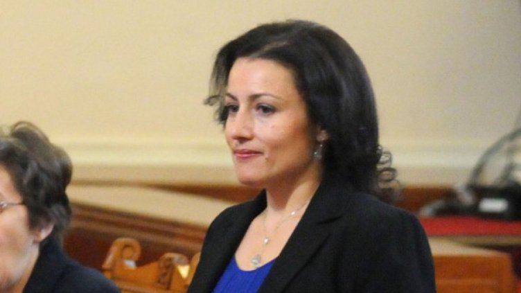 15 000 дка нови гори ще бъдат засадени до края на годината