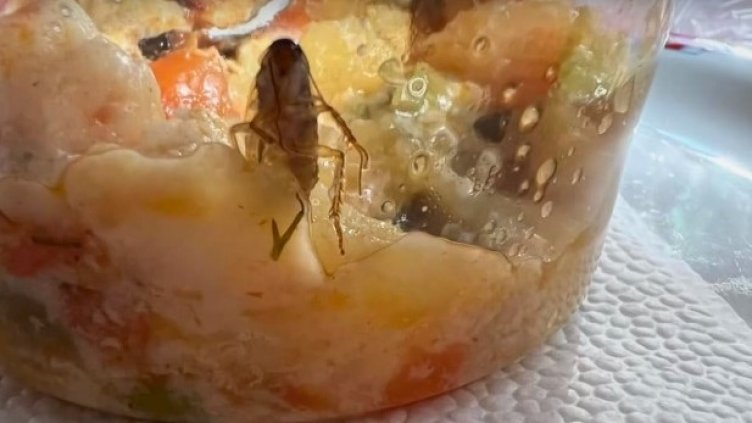 Хлебарка "изпълзя" от мусака в детска кухня (ВИДЕО)