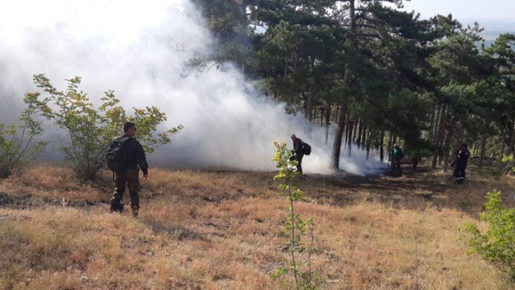 Снимката е илюстративна: АРХИВ