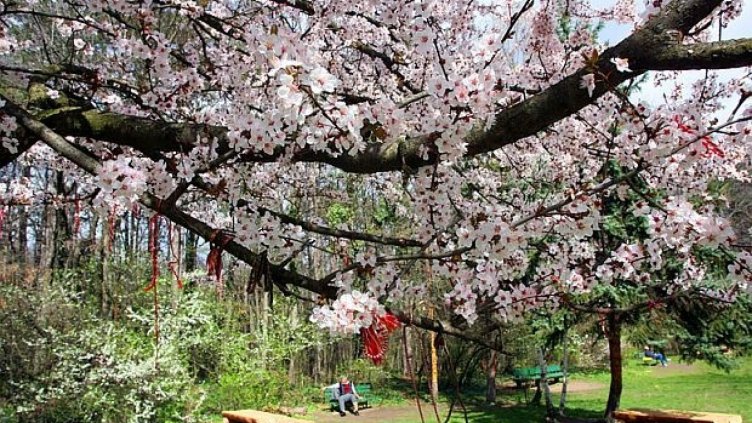 Очаква ни хубаво пролетно време в следващите дни
