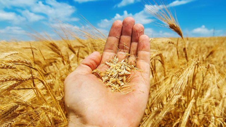 Сегашното земеделие не може да изхрани човечеството