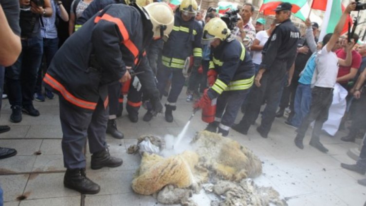 Отлагат евтаназията на животни