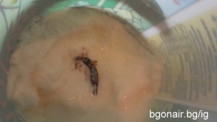 "Родопея" за щипалката: Хигиената е спазена!