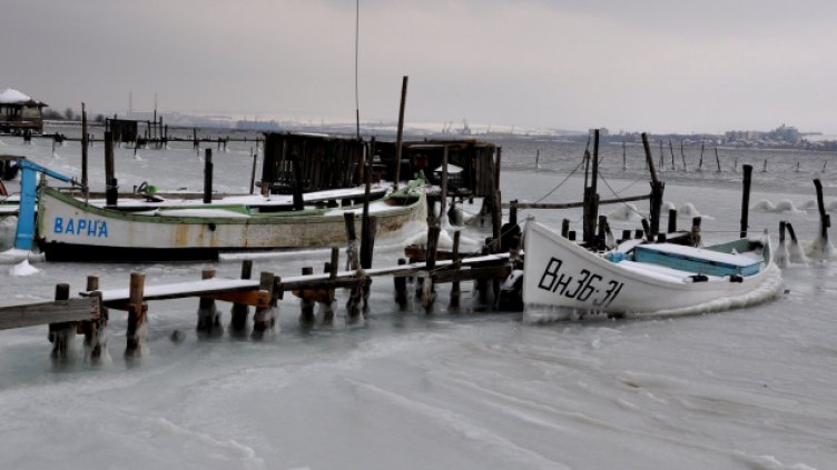 Снимка Пламен Гутинов