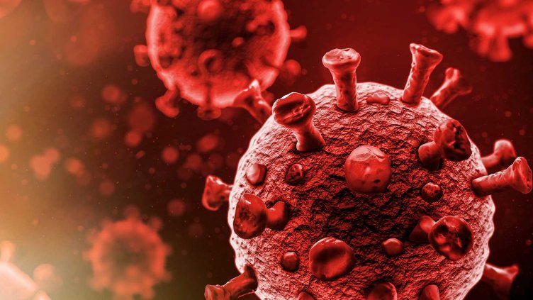 Прекарали сте коронавируса. Ясно е колко време ще имате ангитела