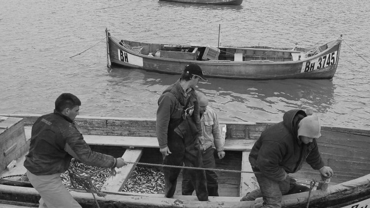 МАЛКИТЕ ЛОДКИ ВЕЧЕ СА ОСВОБОДЕНИ ОТ ВОДЕНЕТО НА ДНЕВНИЦИ и ако не са сдружени в кооперация, трудно могат да доказват произхода на улова си.