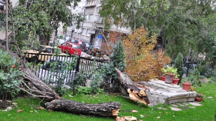 Обявиха жълт код в 20 области заради силен вятър