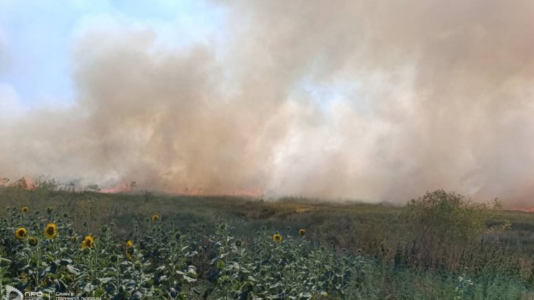 Снимка: Про Нюз Добрич