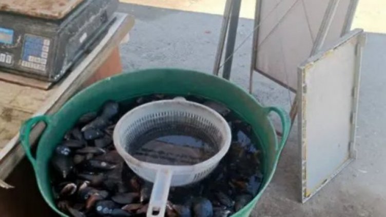 Глобиха рибар заради улов на миди