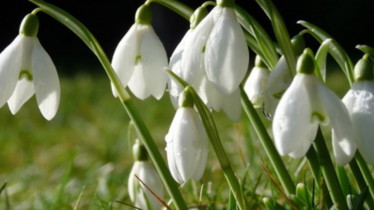 Седмицата започва топла и слънчева