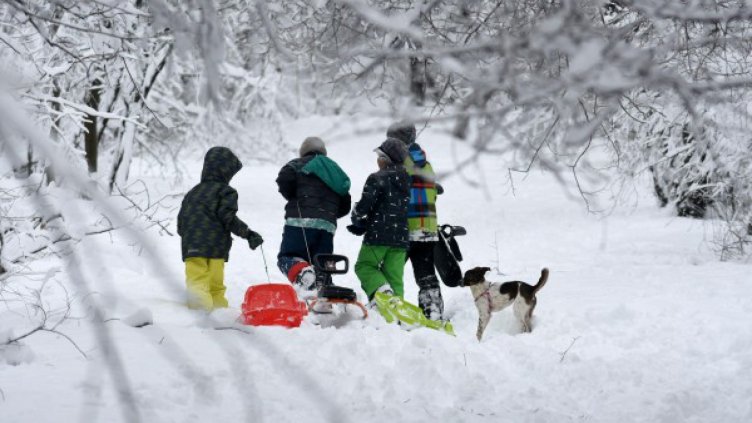 Обявиха дървена ваканция и във Варна