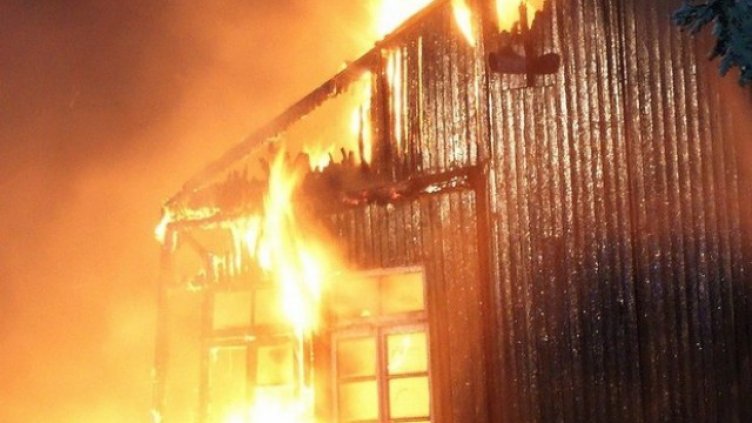 Котка изгоря при пожар в Максуда