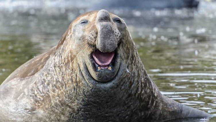 Виц на деня - 19 юни