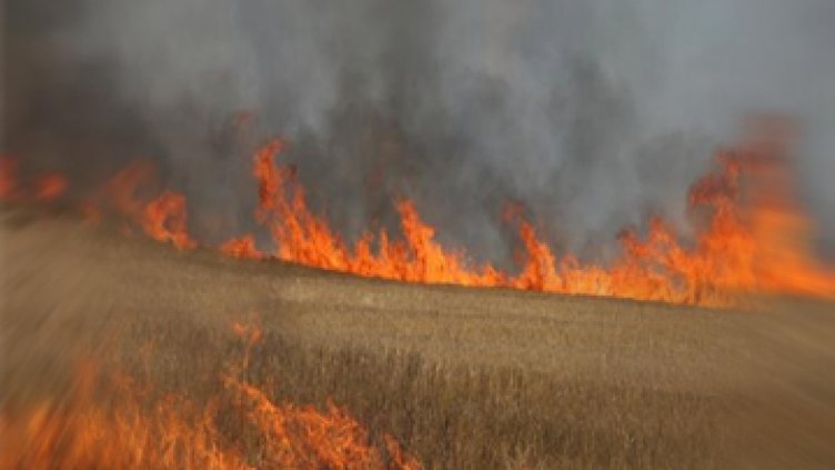 Изгоря житен блок край Пловдив