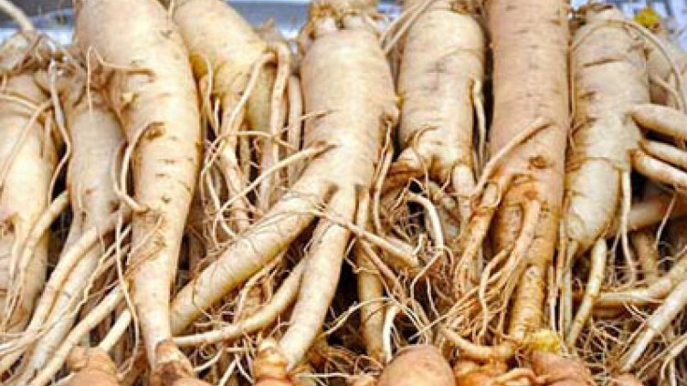 Как да повишим енергията си без кофеин?