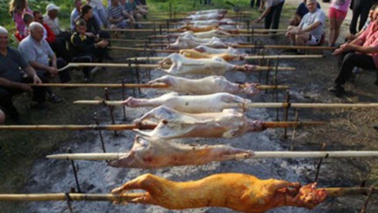 Много празници, малко работа - демокрация по български