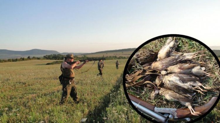 Откриват ловния сезон в началото на август
