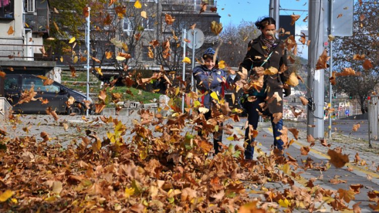 Снимка Пламен Гутинов