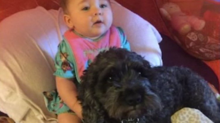 Куче загина в пожар, пазейки бебе от огъня (СНИМКИ)