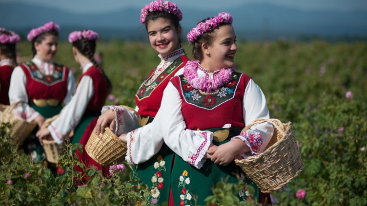 Ще се следи за производството и износа само на качествено розово масло