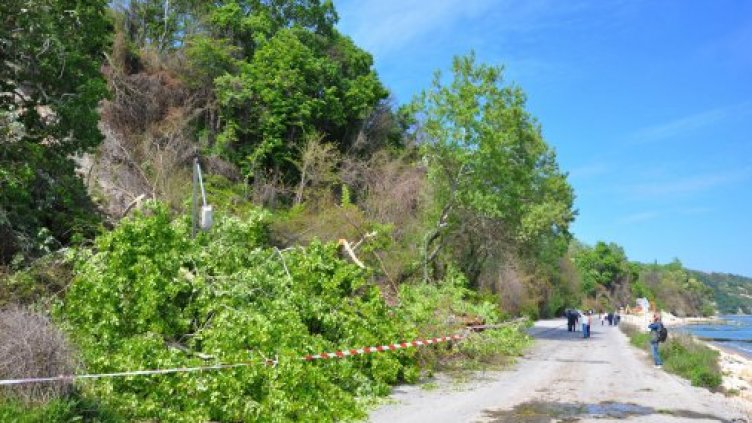 Момче пропадна в дере, бързайки за плажа във Варна