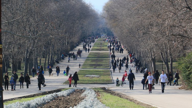 Снимка Пламен Гутинов, архив