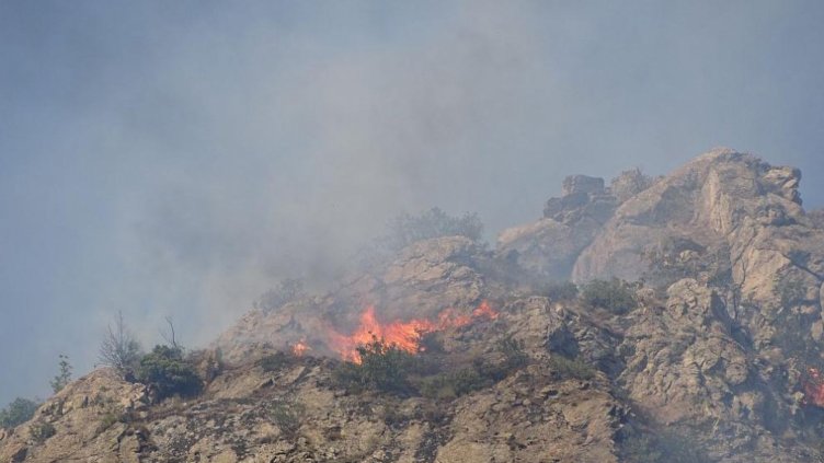 Снимка БГНЕС