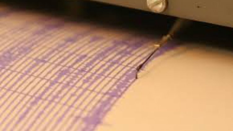 Лек трус край Варна