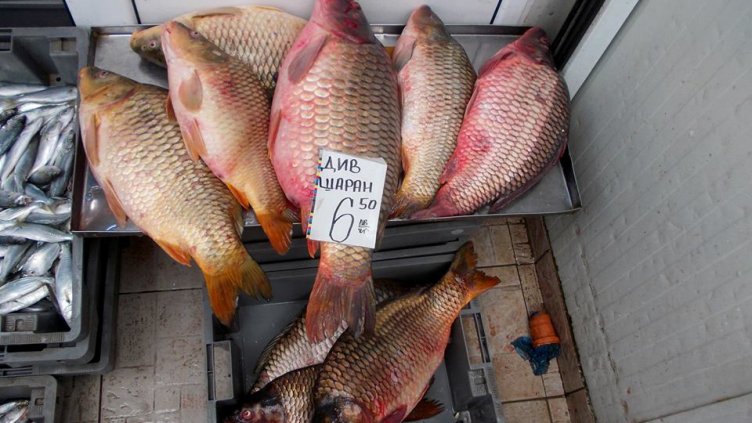 Самороден маркетинг практикуват на Рибната борса преди Никулден