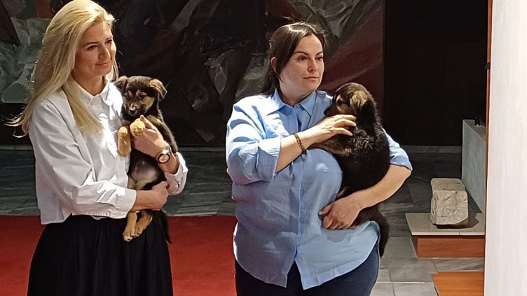 Община Варна е с отворени врати за четириногите от Приюта за кучета в Каменар