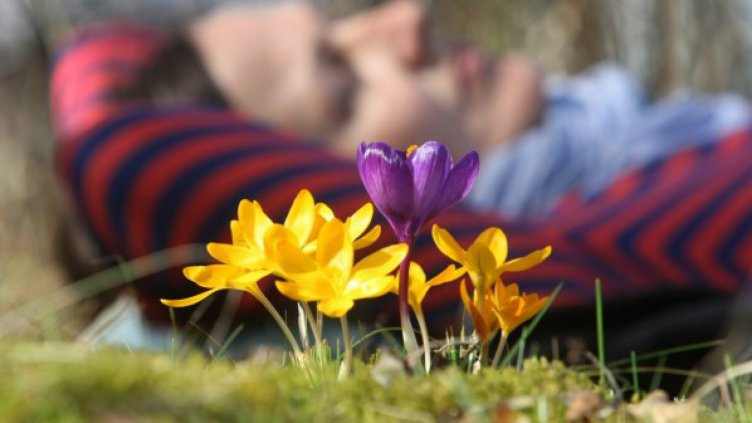 Лятото идва