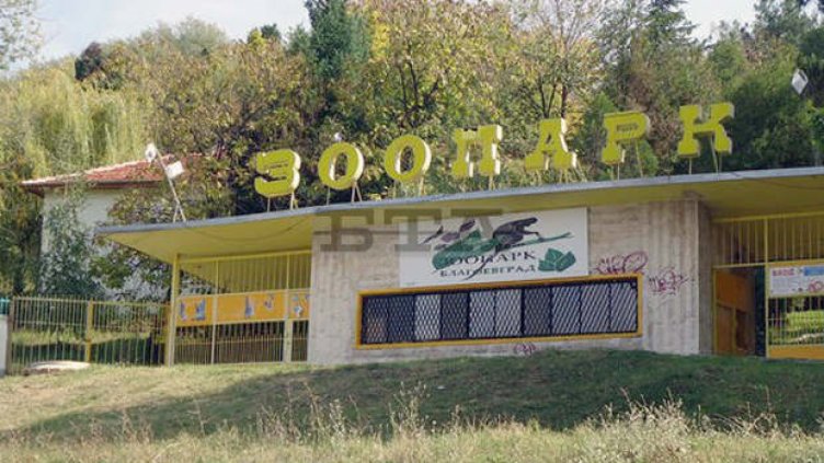 Община Благоевград засилва охраната в зоопарка