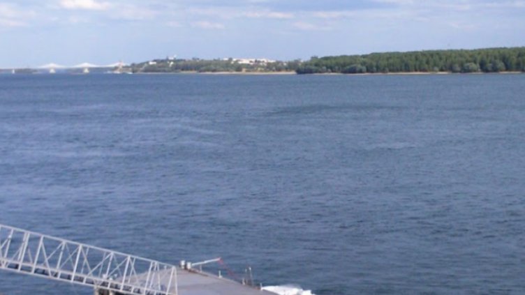 Опасно високи води на Дунав при Видин