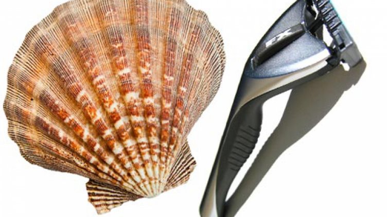 Електрическата самобръсначка навърши 88 години