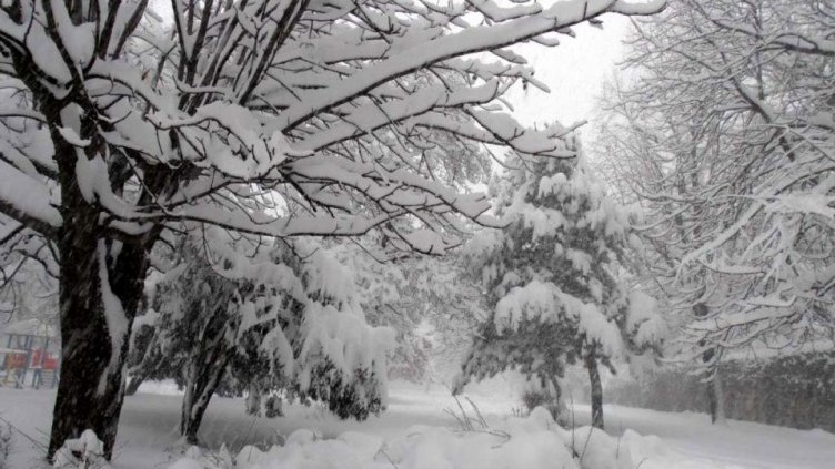 -20° измериха в Силистренско