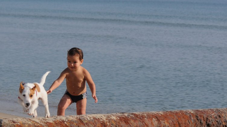 Снимка Пламен Гутинов