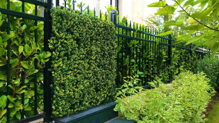 Виц на деня - 30 септември