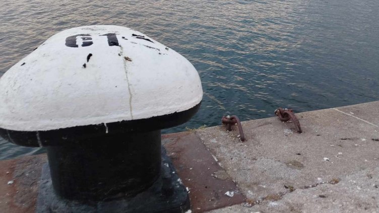 Акция срещу незаконния улов край Варна