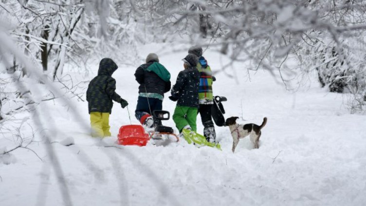 Кнежа замръзна, осъмна при минус 21 градуса