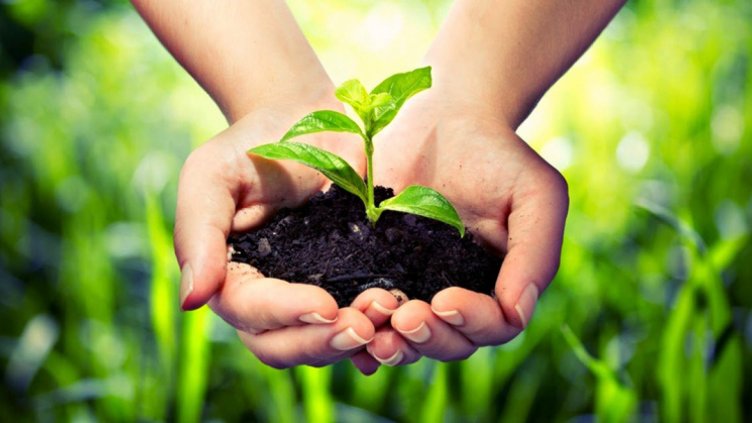 Днес е Световният ден на околната среда