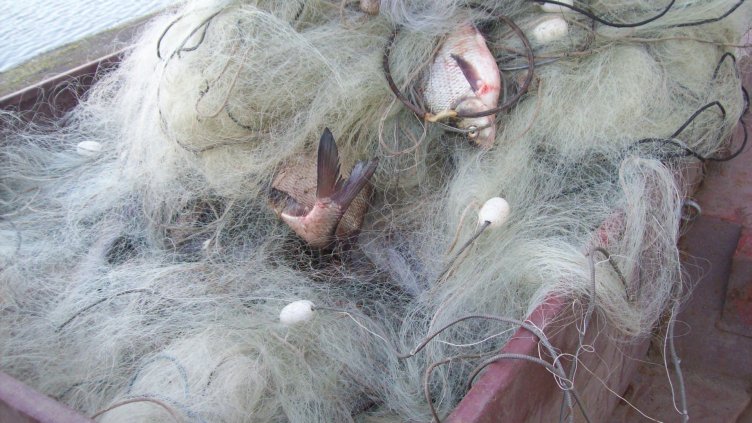 Извадиха над 500 м бракониерски мрежи от язовир "Ястребино" 