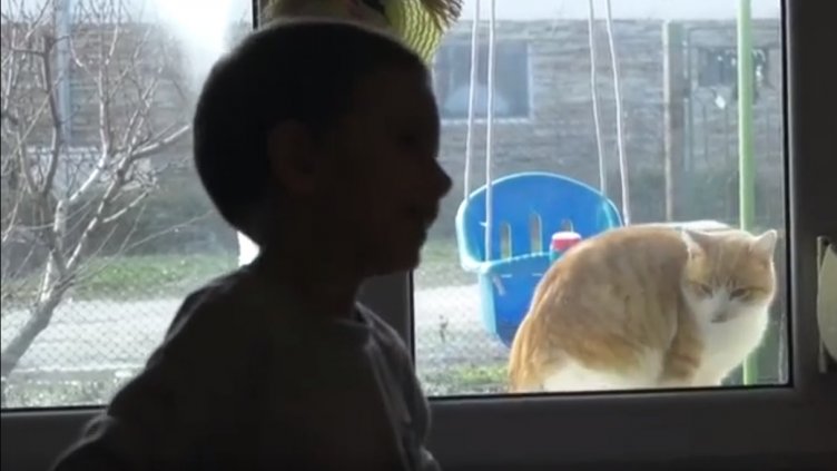 В ТЕЛК слепи ли са? Дете с церебрална парализа губи личния си асистент