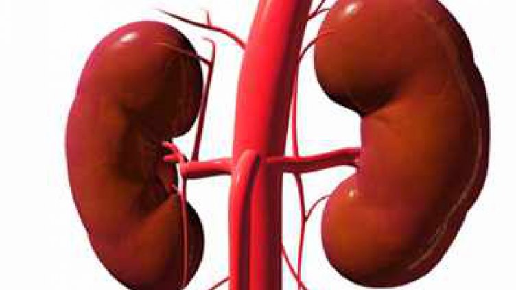 Кафето удължава живота при бъбречна недостатъчност