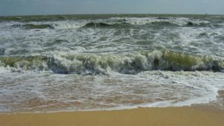 30% от замърсяването на Черно море е от човешка дейност