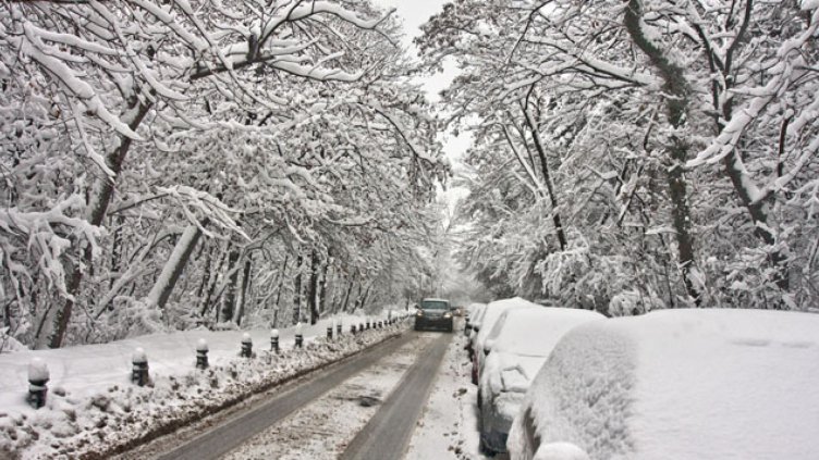Вече има автобуси между Варна и София