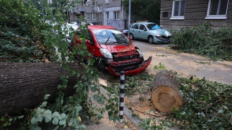 Снимка: БГНЕС