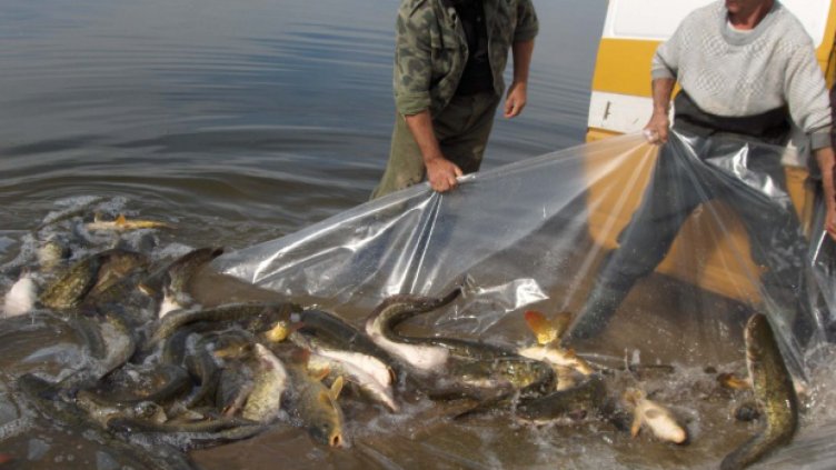 Пипнаха бракониери със 120 кг риба на яз."Александър Стамболийски"