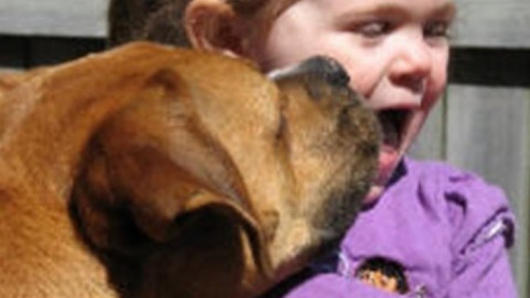 За година 18 души пипнаха кучешка тения във Варна