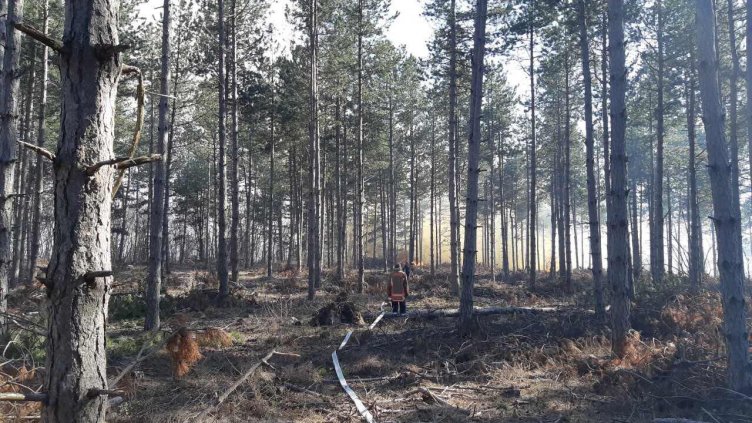 19 пожара са гасили горските във Варна през 2020 г.